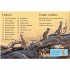 Usborne Meerkats