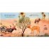 Usborne How the Camel Got His Hump