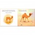 Usborne How the Camel Got His Hump