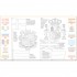 Usborne Flags of the world colouring and sticker book