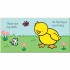 Usborne That's Not My Chick...