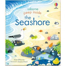 Usborne Peep Inside the Seashore