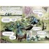 Usborne Macbeth Graphic Novel
