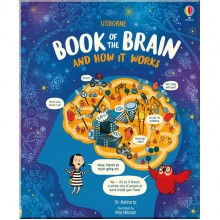 Usborne Book of the Brain and How it Works