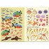 Usborne Little First Stickers: Aquarium