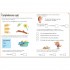 Usborne Wipe-clean comprehension 5-6