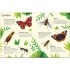 Usborne Bugs to Spot