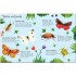 Usborne Bugs to Spot