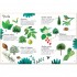 Usborne Trees to Spot
