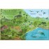 Usborne See Inside Evolution