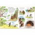 Usborne See Inside Evolution