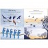 Usborne Nature Activity Book