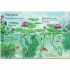 Usborne Beginners Ponds