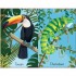 Usborne Jungle Snap