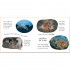 Usborne The Jungle Book