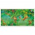Usborne Pop-Up Animals