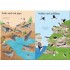 Usborne Little First Stickers Seashore