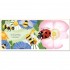 Usborne Little Lift and Look Bugs