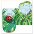 Usborne Little Lift and Look Bugs