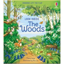Usborne Look Inside the Woods