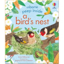 Usborne Peep Inside a Bird's Nest