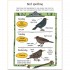 Usborne Memory Games