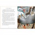 Usborne Illustrated Stories of Dragons