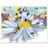 Usborne Pop-Up Nature