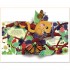 Usborne Pop-Up Nature