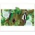 Usborne Pop-Up Nature