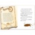 Usborne Dragon Trouble