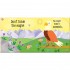 Usborne Don't tickle the Bear!