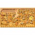 Usborne Look Inside the World of Bees