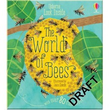 Usborne Look Inside the World of Bees