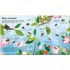 Usborne Look Inside the World of Bees