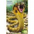 Usborne Build Your Own Deadly Animals