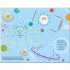Usborne Dot-to-Dot Puzzles