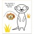 Usborne First Colouring Zoo Animals