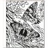 Usborne Butterflies Magic Painting Book