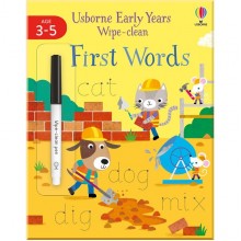 Usborne Early Years Wipe-Clean First Words