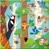Usborne Woodland