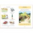 Usborne The Hare and the Tortoise