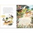 Usborne The Hare and the Tortoise