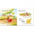 Usborne The Little Red Hen