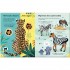 Usborne Lots of things to know about Animals