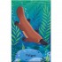 Usborne Australian Animals Snap