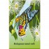 Usborne Bugs snap