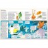 Usborne The World of the Unknown: UFOs