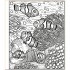 Usborne Coral Reef Magic Painting Book