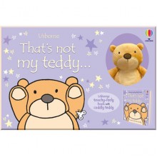 Usborne That's Not My Teddy...book and toy
